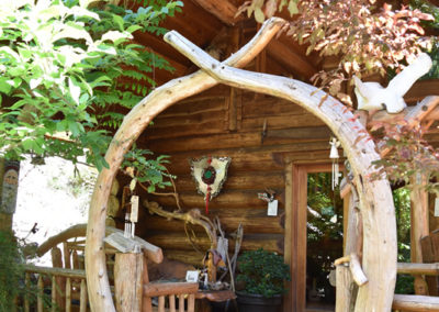 Driftwood Arch