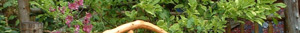 Garden Bench