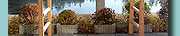 Dino Vieira Specializing in  rustic log work